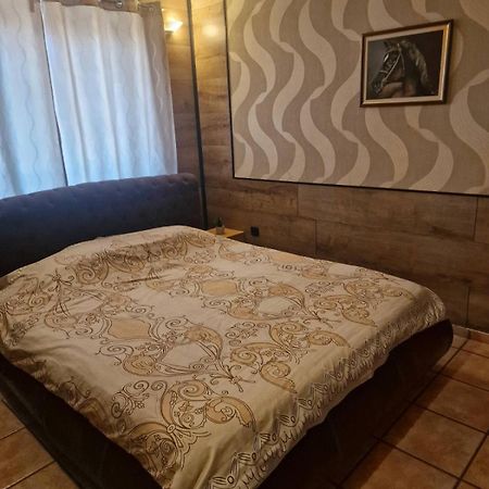 Guest House Maja 노비사드 외부 사진